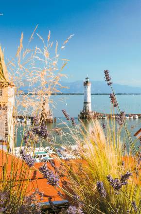 Blick auf den Bodensee vom Hoteldach aus