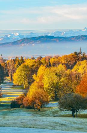 Landschaftsbild mit herbstlichen Bäumen und Blick auf die Alpen