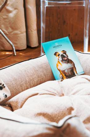 Hundekissen mit Decke im Hotel Helvetia
