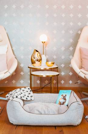 Hundetreatment im Yachthotel Helvetia Insel Lindau