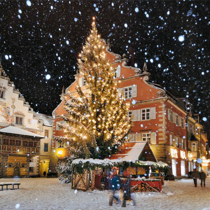 Lindauer Weihnachtsmarkt auf der Insel mit Schnee und beleuchteter Tanne