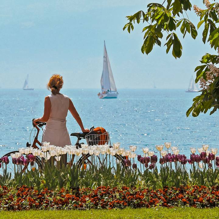 Frau genießt den Blick auf den glitzernden Bodensee auf dem Segelboote sind